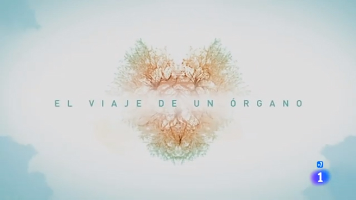 El viaje de un órgano